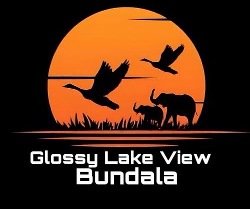 Glossy Lake View