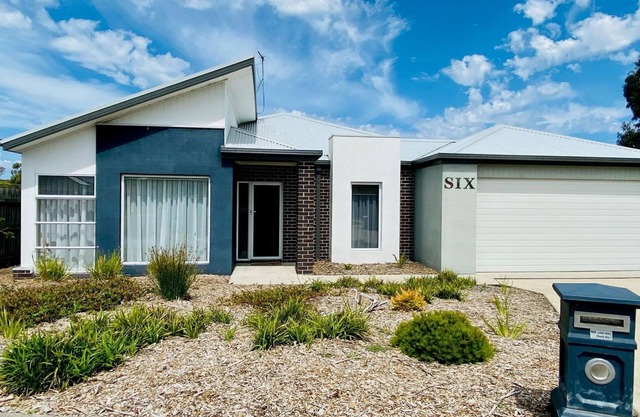 Goodenia Vibes - Inverloch