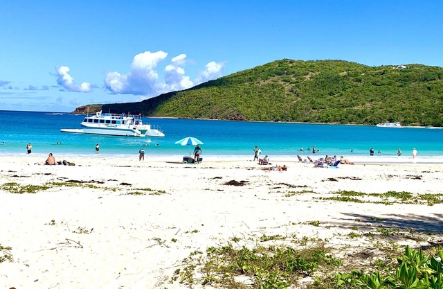 Gorgeous 3/2 condo 5-min 7 seas beach, snorkeling, parasailing excursions biobay