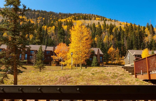 Gorgeous Mountain Condo Near Purgatory Ski Resort