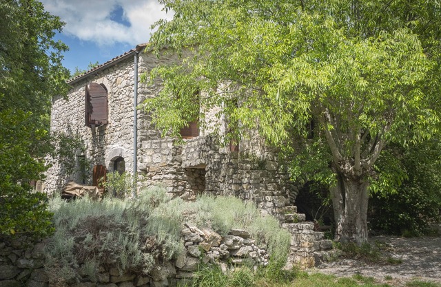 Grand Gîte 12/13 Pers Piscine Privée Tennis Sud Ardèche au Domaine Saint Cerice