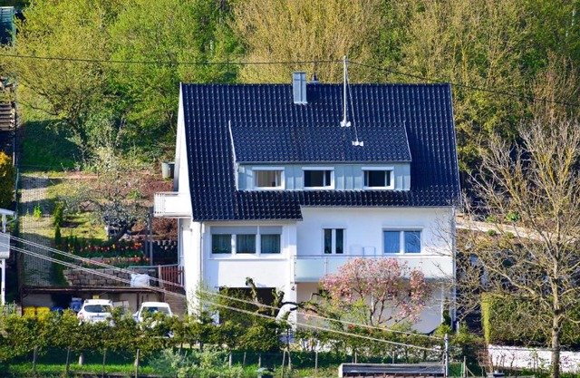 Green Bambus Wohnung