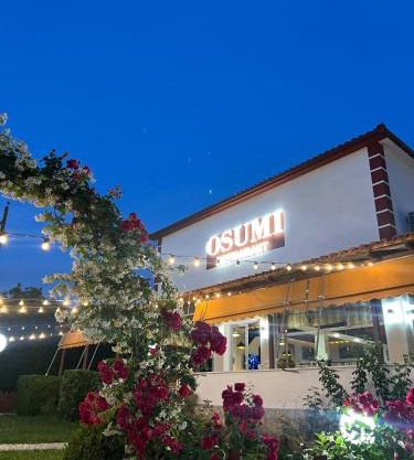 Guesthouse Osumi