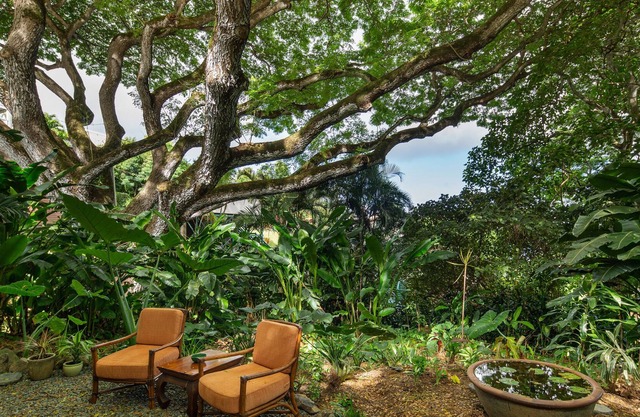 Hale Ulula'au - A peaceful forest retreat