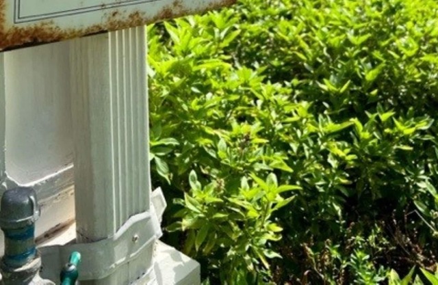 Hall House: A Century of Charm Come relax in a beautiful piece of Texas history