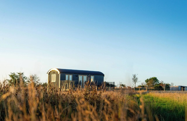 Head For The Hills Glamping Shepherd’s Hut. Pet friendly, mountain viewsnn