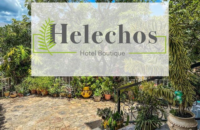 Helechos Hotel
