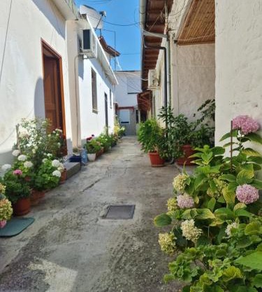 Herta Apartment