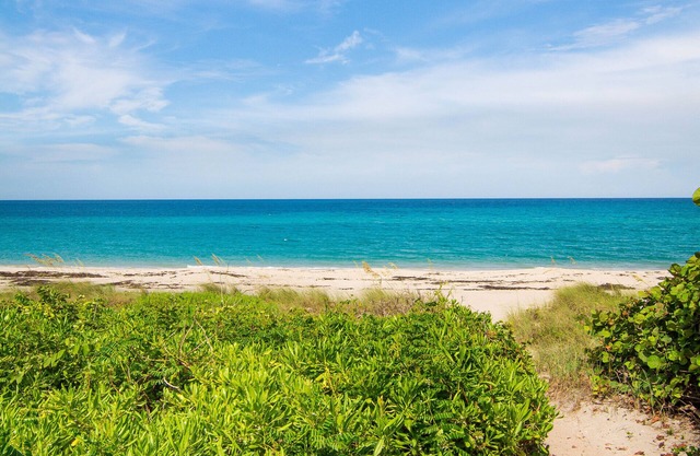 Hidden Gem. Steps to Beach. Long/Short Term. Pet friendly.