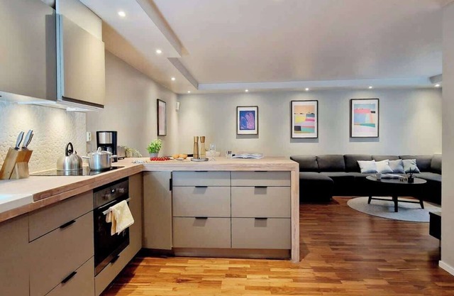High standard, spacious apartment near Bryggen