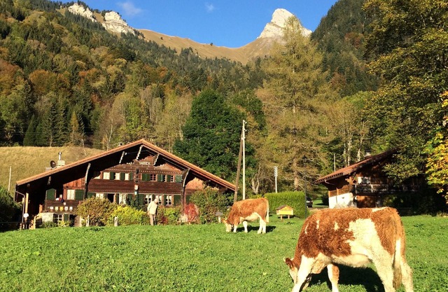 Historic chalet from 1714 in Plans-sur-Bex, Gryon-Villars-Les Diablerets
