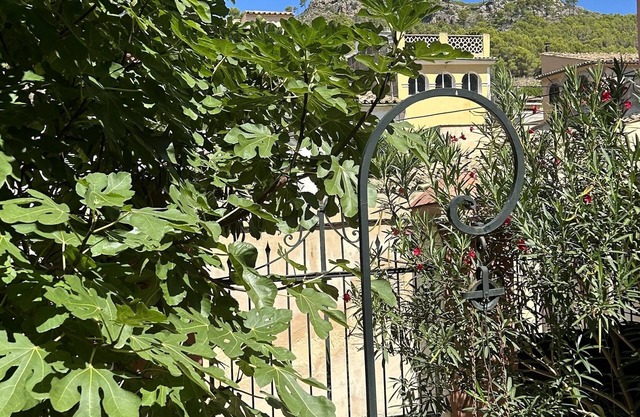 Historisches Stadthaus Andratx/mallorca