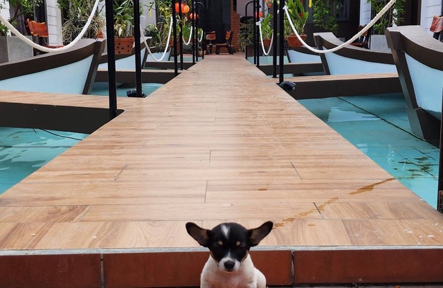 Hoi An Coco Bungalows