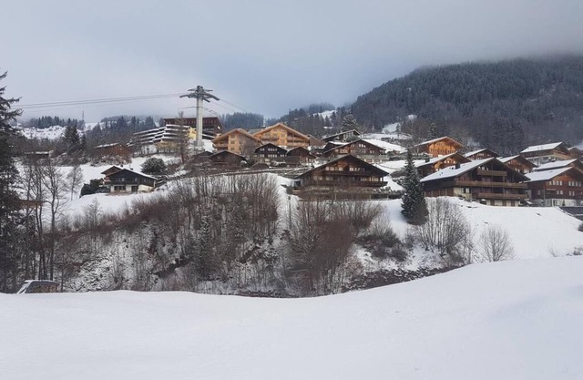 Holiday apartment Hasliberg Reuti for 4 - 9 persons with 4 bedrooms - Holiday apartment