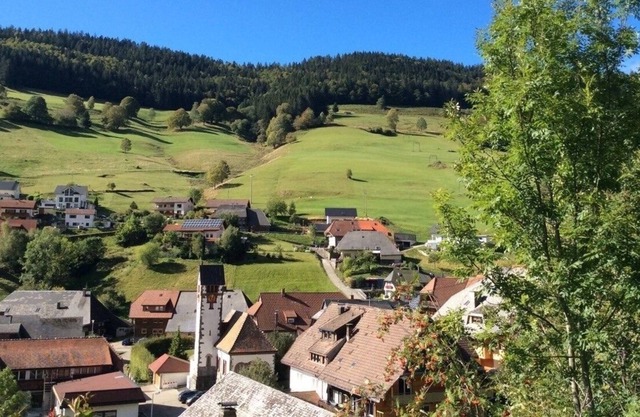 holiday apartment/apt. for 4 guests with 78m² in Todtnau (163395)