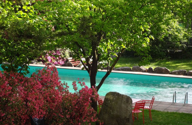 Holiday home in beautiful location, quiet, view of Lake Maggiore, pool
