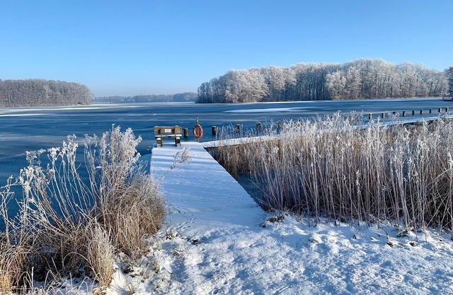 Holiday home Seerose with sauna on lake Dümmer, Dümmer