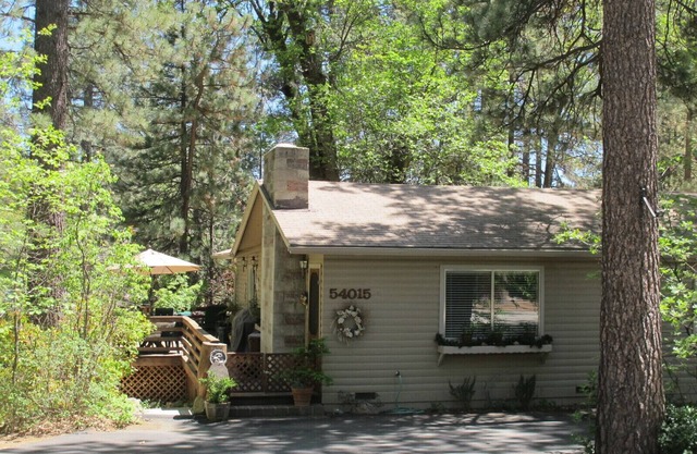 Home Away From Home In Idyllwild -short Walk To Village And Trails