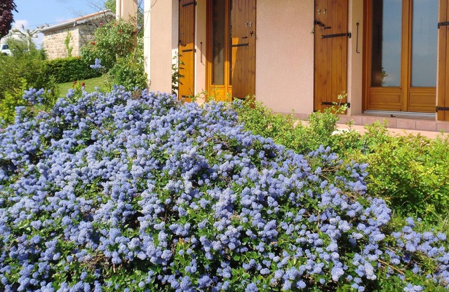 Homerez - Spacious house for 6 ppl. with garden and terrace at Planzolles