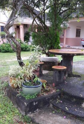 Homestay Syams