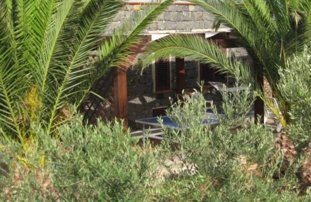 Hose of the palm trees, 5000 sq.m of garden, and there is a vegetable garden ava