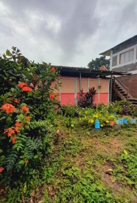 Hospedaje Bananas