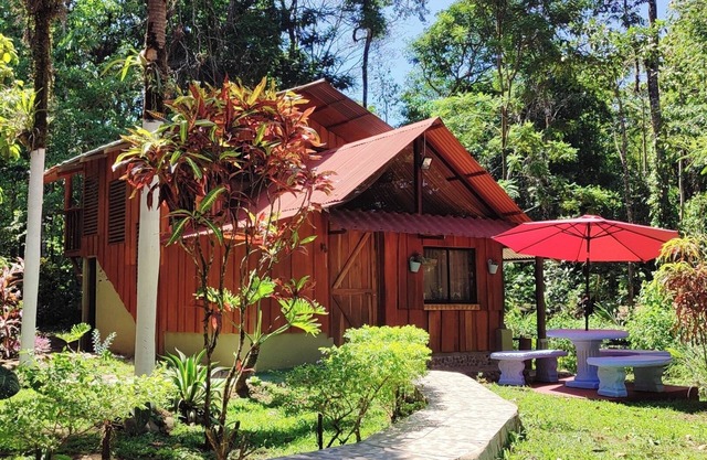 Hospedaje en Bosque Tropical Reforestado, Lleno de Naturaleza, paz y Relajación