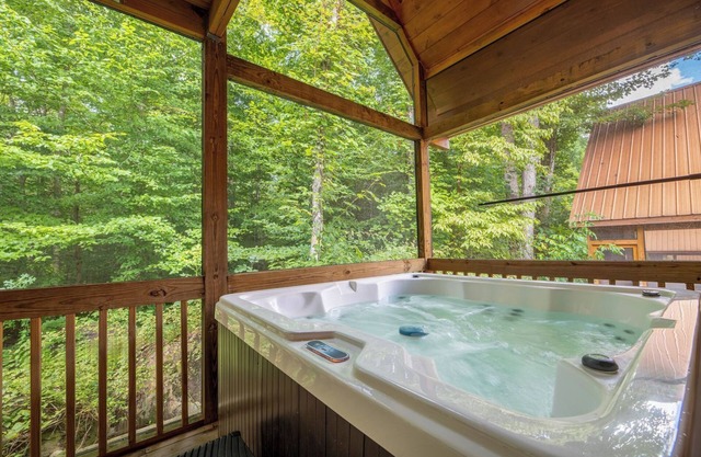 Hot Tub Soaks, Summertime Swimming, Fireside Chats & Appalachian Fun Nearby - Dancing Bear Hideaway