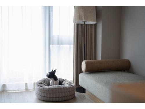 HOTEL FARO manazuru - Vacation STAY 43000v