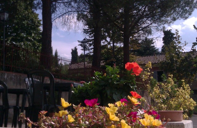 Hotel I Platani