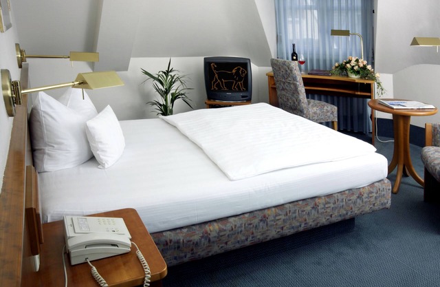Hotel Löwen - Mannheim