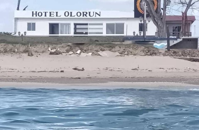 Hotel olorun