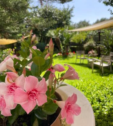 Hotel Residence Da Carmelo