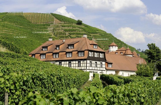 Hotel Residenz im Schloss Neuweier