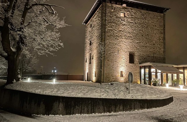 Hotel Torre Zumeltzegi