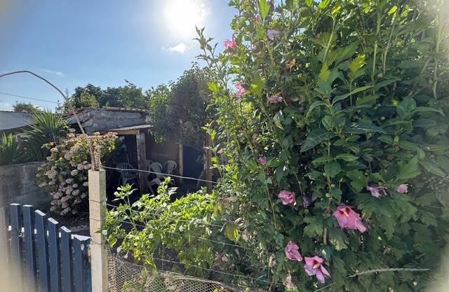 House 3 bedrooms 1 km from the sea natural area Moeze Oleron