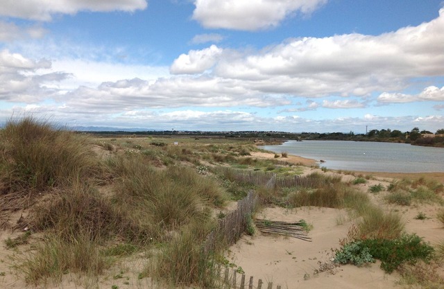 House 4 ch. pool, sea, canal du midi and nature protected