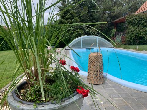 House Apartment am See
