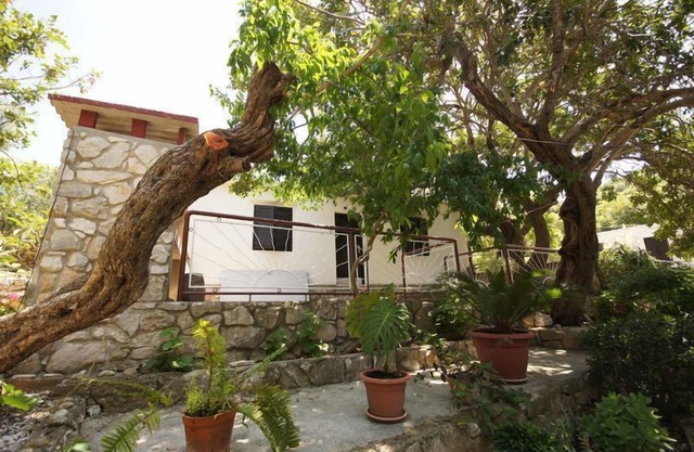 House PAULO2 (103601-K1) - Vis - island Vis