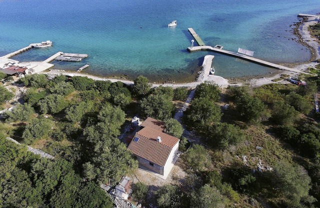 House Viola (23721-K1) - Zizanj - island Zizanj