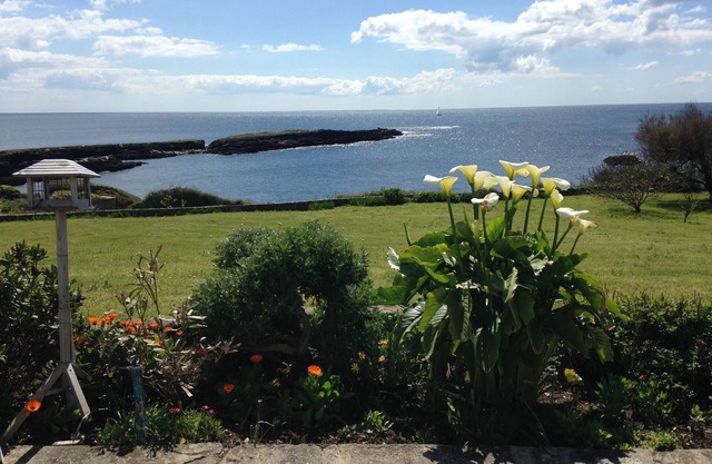 House with breathtaking ocean views, 40 m from the sea, on 5000 m² of enclosed land