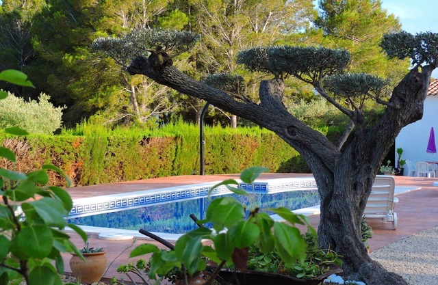HOUSE WITH PRIVATE POOL 300 METERS FROM THE SEA