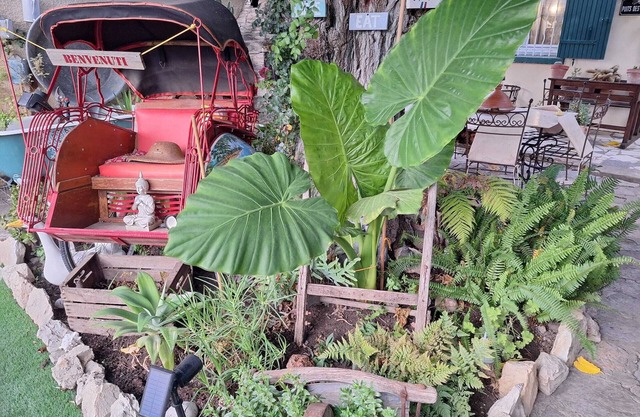 hummingbird/dog accepted on request