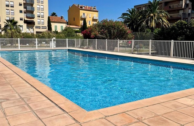 Hyères and its palm trees