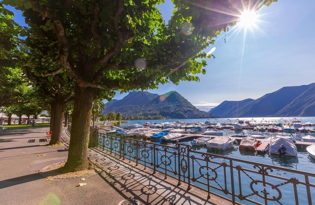 Icon H 501 Suite Business