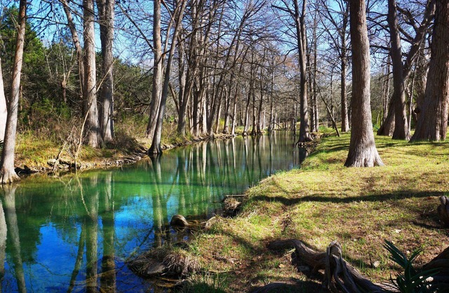 Idyllic spot right on the Cypress Creek! Close to town. A perfect getaway!