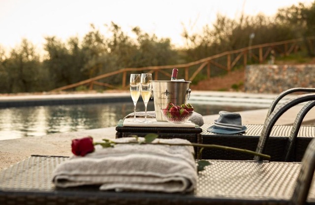 Il giardino sotto le stelle