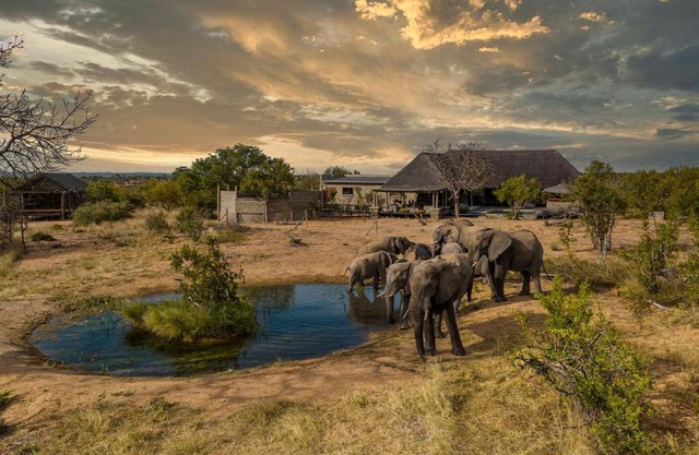 Imagine Africa Luxury Tented Camp