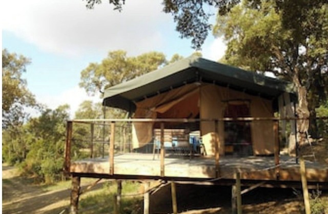Immortal Lodges