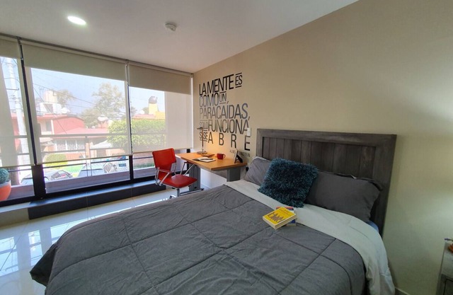 INCREDIBLE PREMIUM SUITE 2 MINUTES FROM TEC! 07